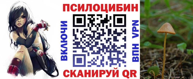 Галлюциногенные грибы мухоморы  Камешково 